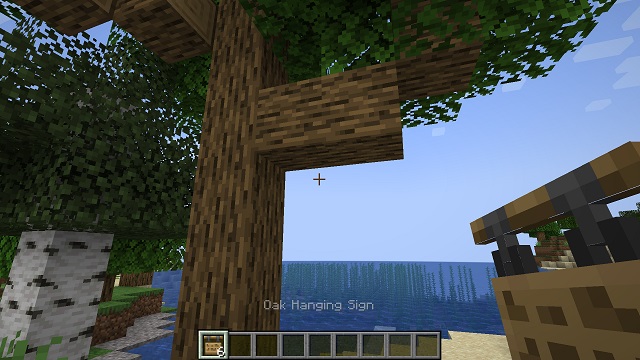 Empty place for hanging sign in Minecraft