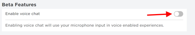 enable voice chat roblox 