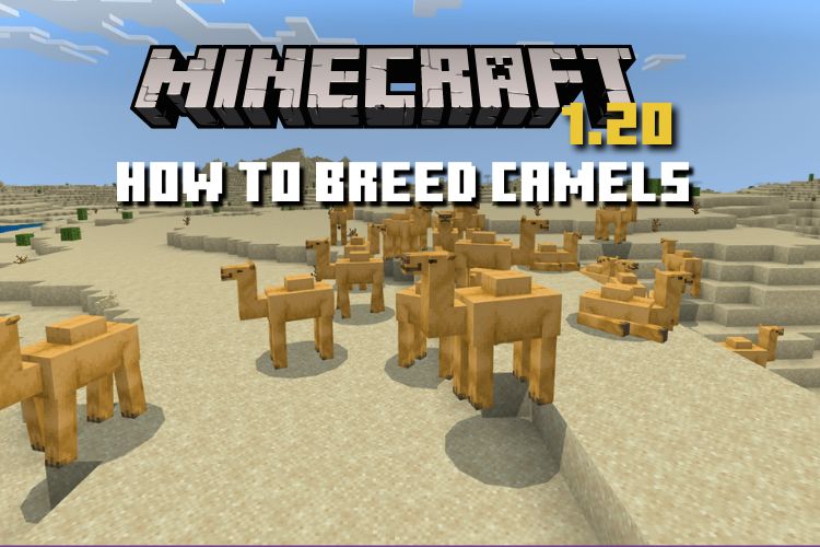 Minecraft's big 2023 update includes camels