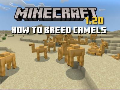 How to Breed Camels in Minecraft 1.20