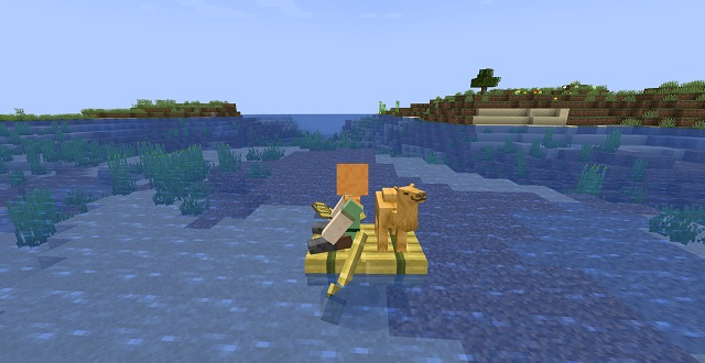 Riding raft with baby camel