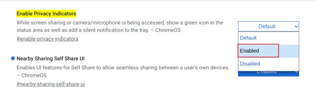 Chromebook (2022)లో గోప్యతా సూచికలను ప్రారంభించండి