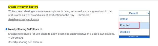 Enable privacy indicators on a Chromebook (2022)