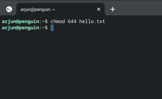 How to Use Chmod 777 Command in Linux?