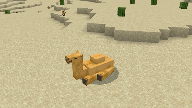 How to Breed Camels in Minecraft 1.20 (Easy Guide) | Beebom