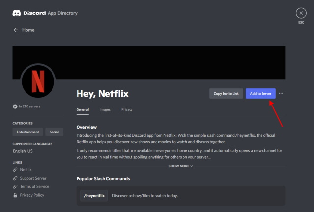 Netflix Discord Bot Zum Server Hinzufügen