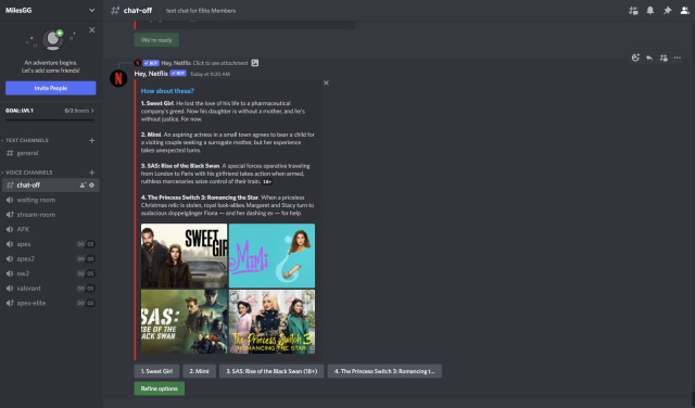 Hey Netflix-Bot In Aktion In Discord