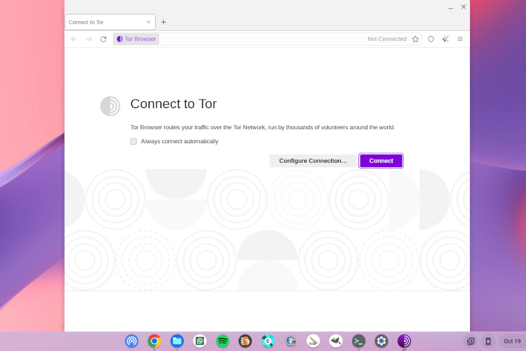 How to Install Tor Browser on Your Chromebook [2 Ways] Beebom