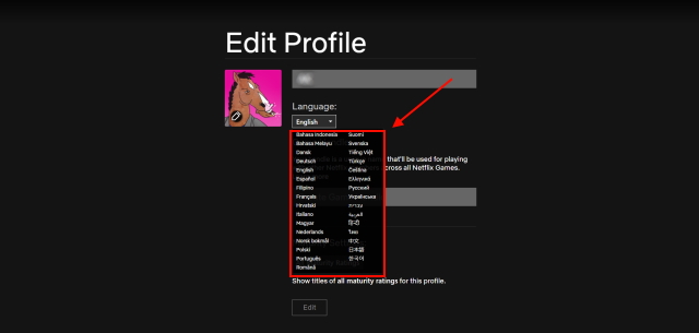 Editing your Netflix profile to change display language