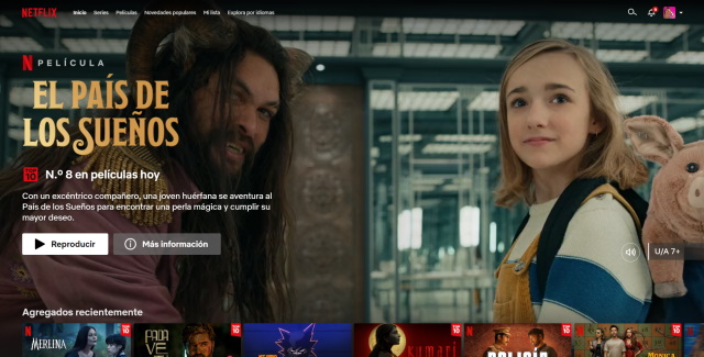 Netflix homepage with language changed