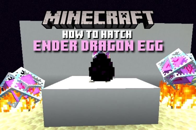 How to Hatch an Ender Dragon Egg in Minecraft