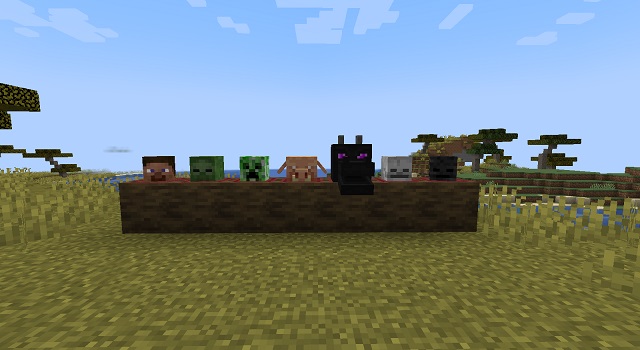 Minecraft: 15 Rarest Skins In The Game