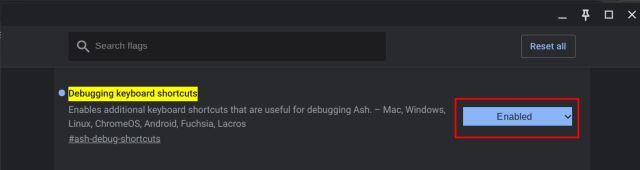 enable debugging keyboard shortcuts flag on a chromebook