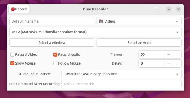 blue recorder