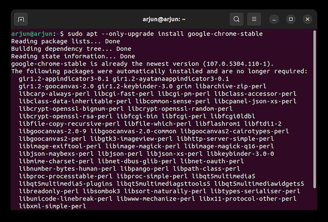 Обновите Google Chrome до последней версии в Ubuntu