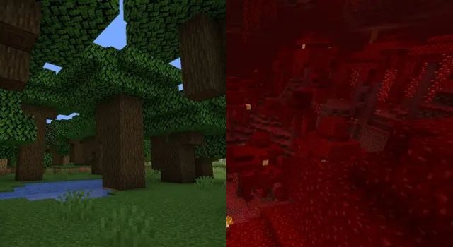 Two Forests of Minecraft  - How to Change Biomes in Minecraft