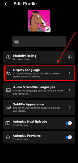 Editing netflix profile to change display language