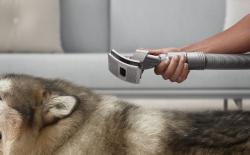 dyson pet grooming tool