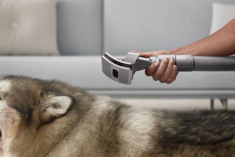 dyson pet grooming tool