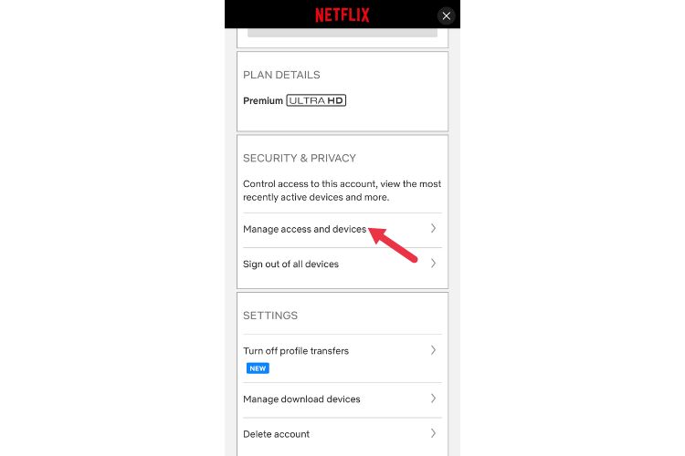Netflix security and privacy section