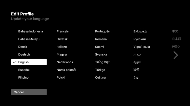 An image of Netflix's display language page on Android TV.