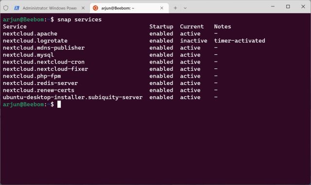 snap services wsl2