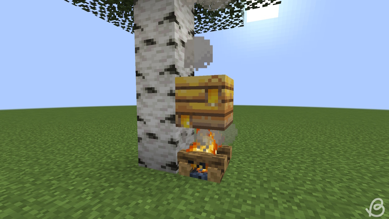 Campfire beneath the bee nest