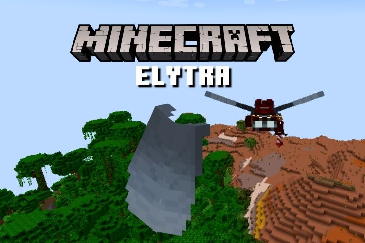Can you only get 1 elytra?