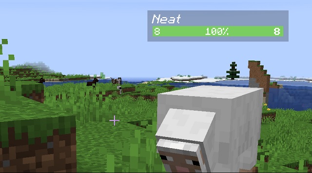 Neat Minecraft HUD Mod