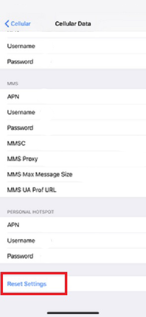 Reset-APN-Settings-in-iOS - How to Fix Roblox Error Code 279