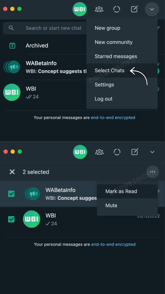 WhatsApp multiple chat selection option