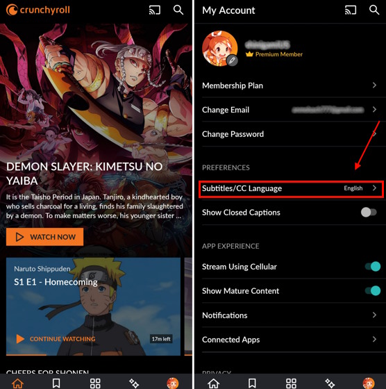 An image of the Crunchyroll's homepage and My Account page.