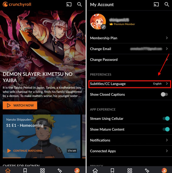 How to Change Crunchyroll Language on Roku