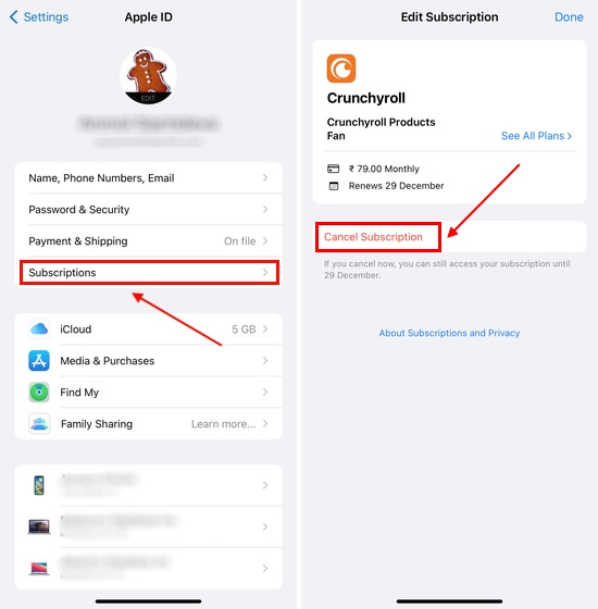 Option to cancel Crunchyroll Subscription on an iPhone