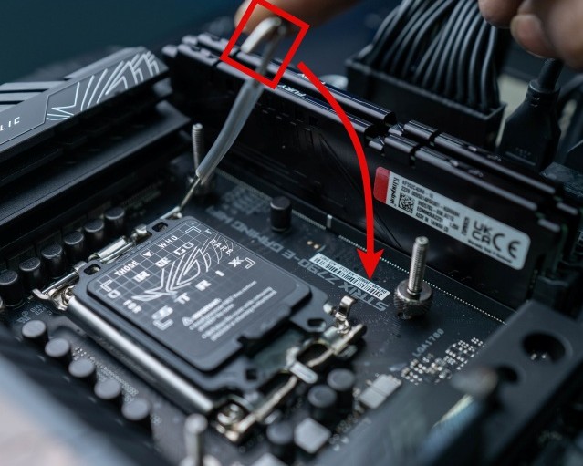 How to Install Intel or AMD CPU on Your Motherboard