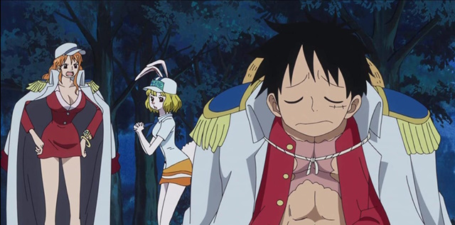 An image of Luffy and co in the filler arc.