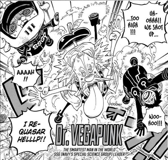 One Piece: Mỗi thành viên phi hành đoàn của Cướp biển Mũ rơm