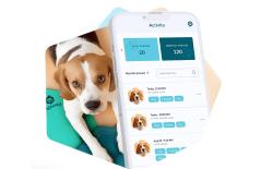 FluentPet Connect System introduced