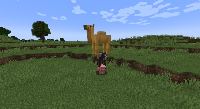 How to Use Ride Command in Minecraft