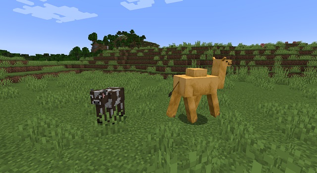 Camel and Cow in Minecraft