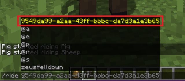 Id D'Entité Dans Minecraft - Comment Utiliser Ride Command Dans Minecraft