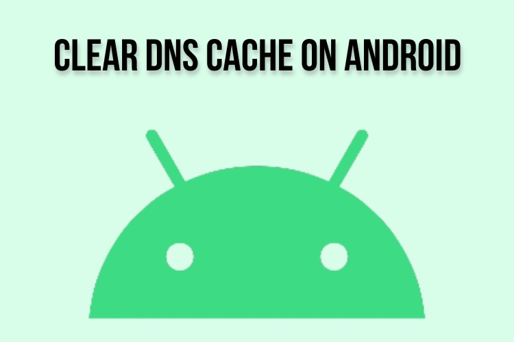 Clear dns cache