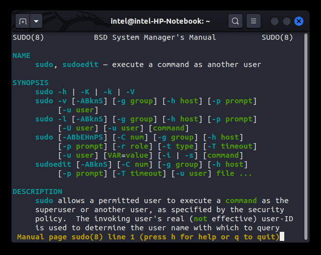 sudo command man page