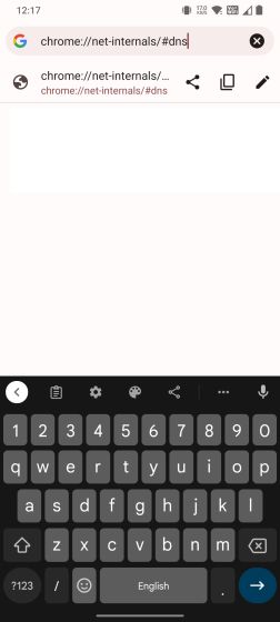 Clear DNS Cache in Google Chrome