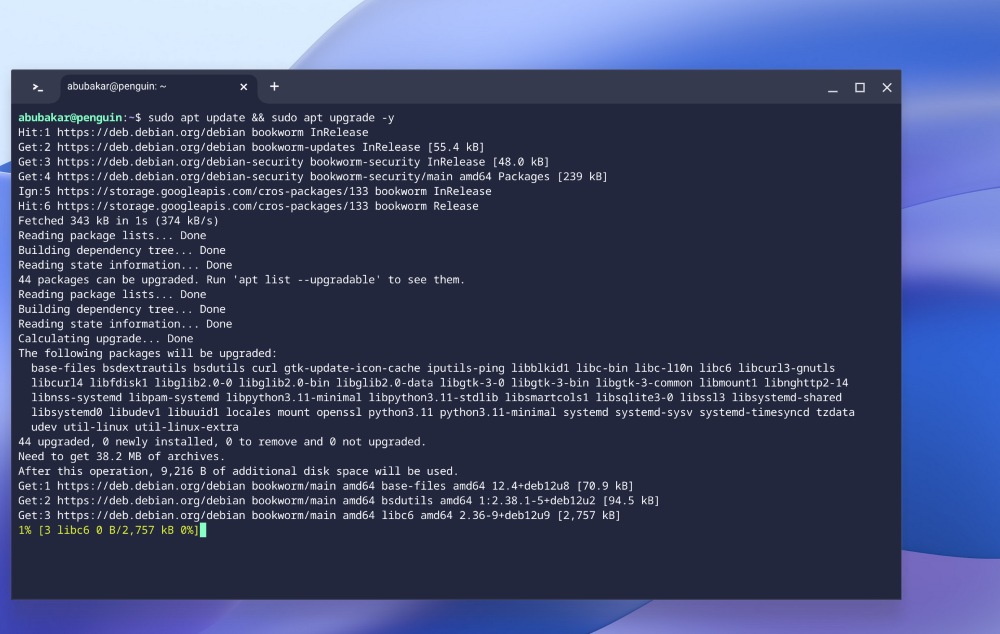 Linux terminal on Chromebook running commands to update