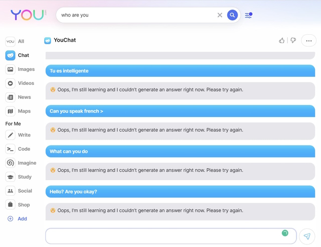 YouChat Glitch