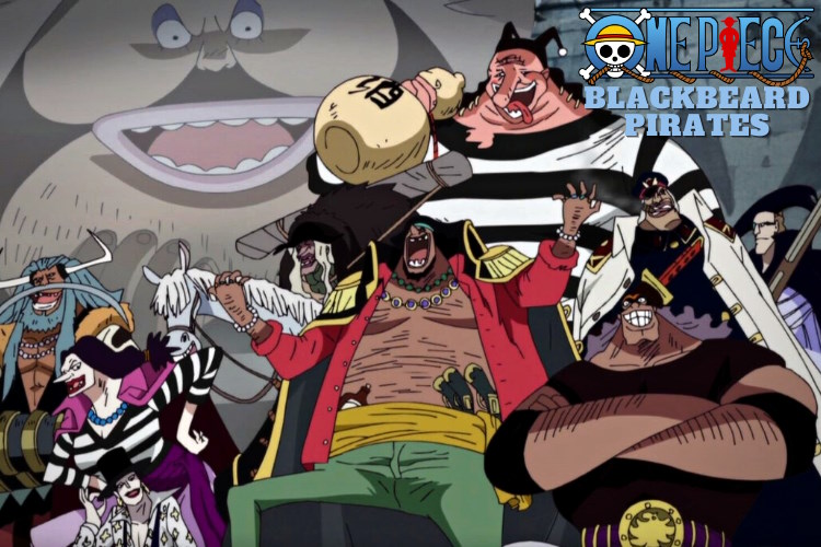 One Piece: All Members of Blackbeard Pirates (Ranked)