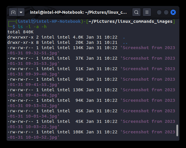 ls command usage