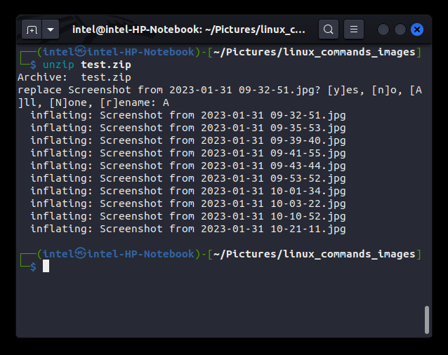 decompress files using unzip comamnd