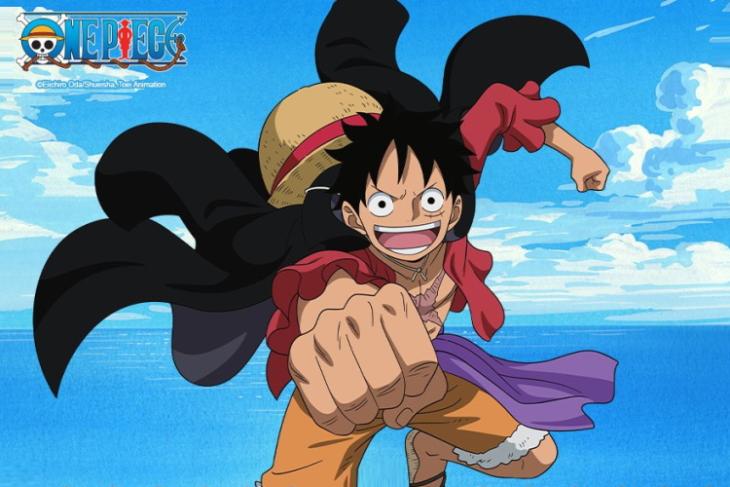 What is the D for in Luffy's name?
